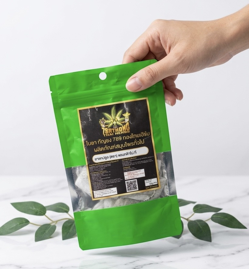 ใบชากัญชง (Hemp Tea Leaves) แสดงขนาดจริงโดยมือผู้ถือ มือคนถือใบชากัญชงแห้งแสดงขนาดจริงของผลิตภัณฑ์