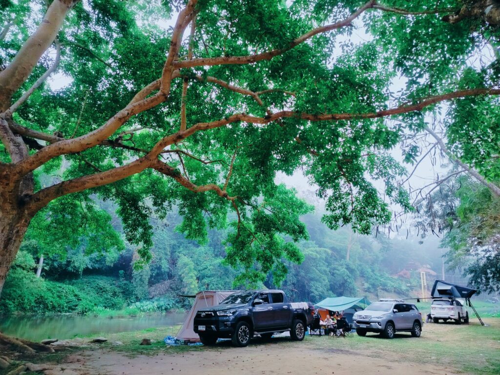 ⛺บ้านป่าหมากชุมชนกลางป่า กางเต็นท์ ท่องเที่ยวชุมชนบ้านป่าหมาก ลานกางเต็นท์1