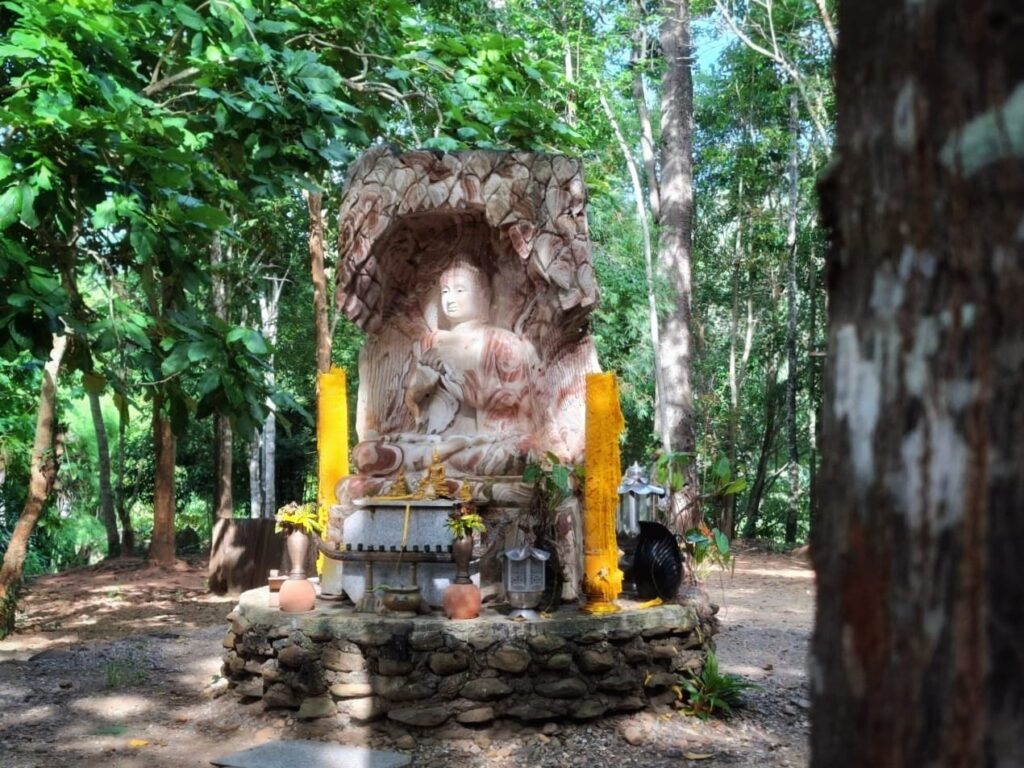 วัดป่าช้างขาว1