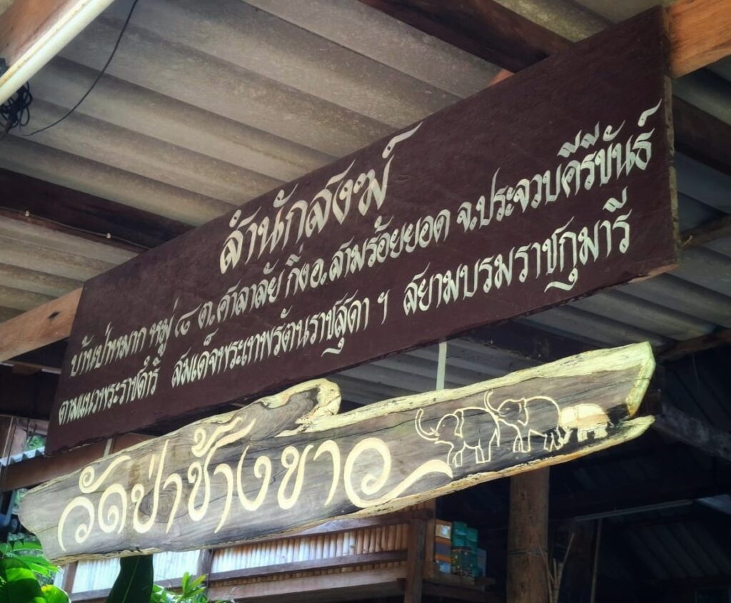 วัดป่าช้างขาว7