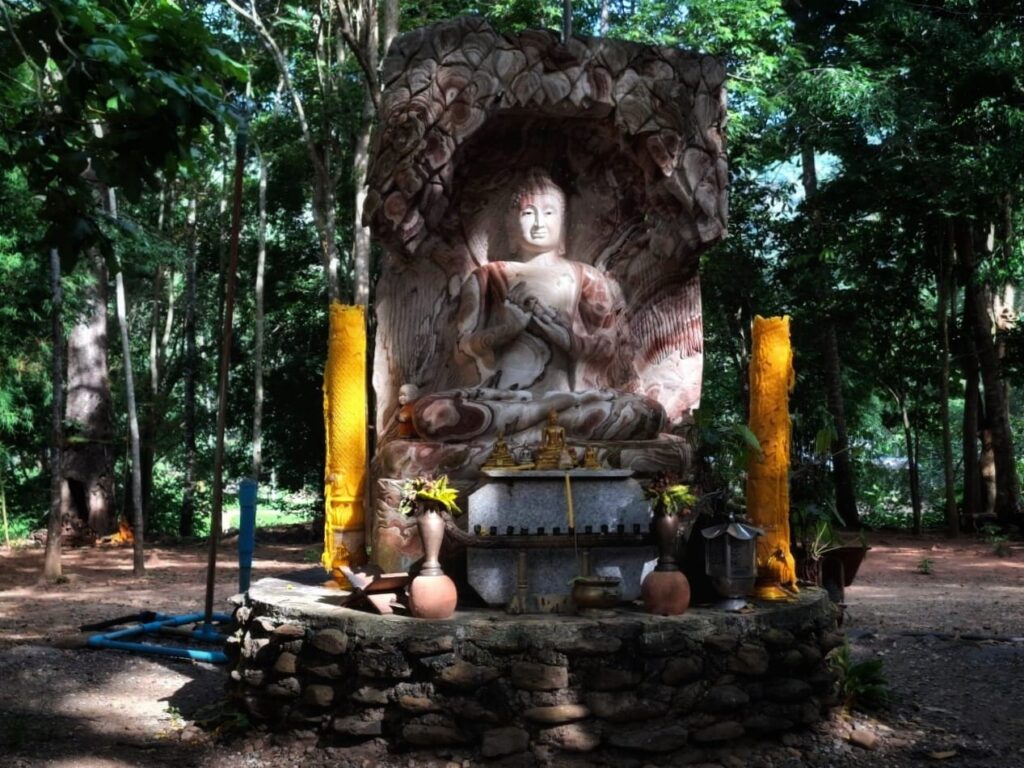 วัดป่าช้างขาว9