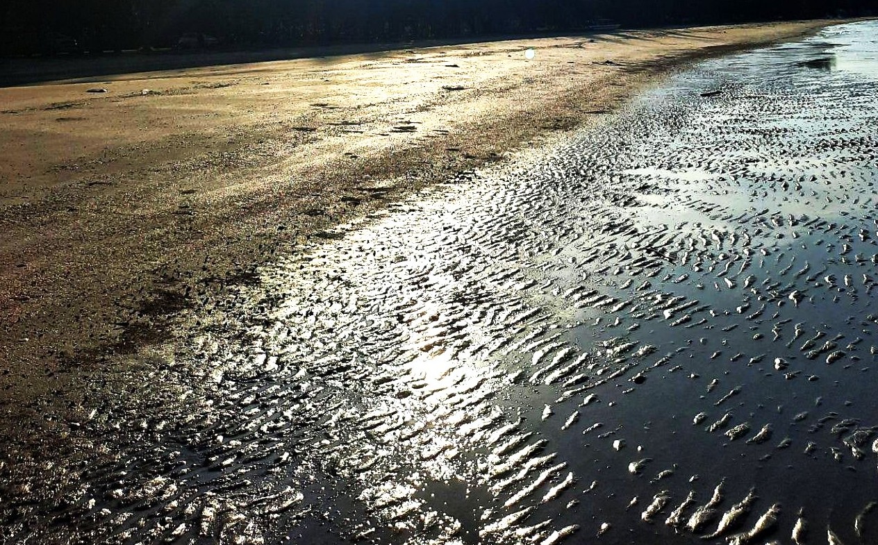 หาดสามร้อยยอด(Sam Roi Yot Beach) หาดสามร้อยยอด4