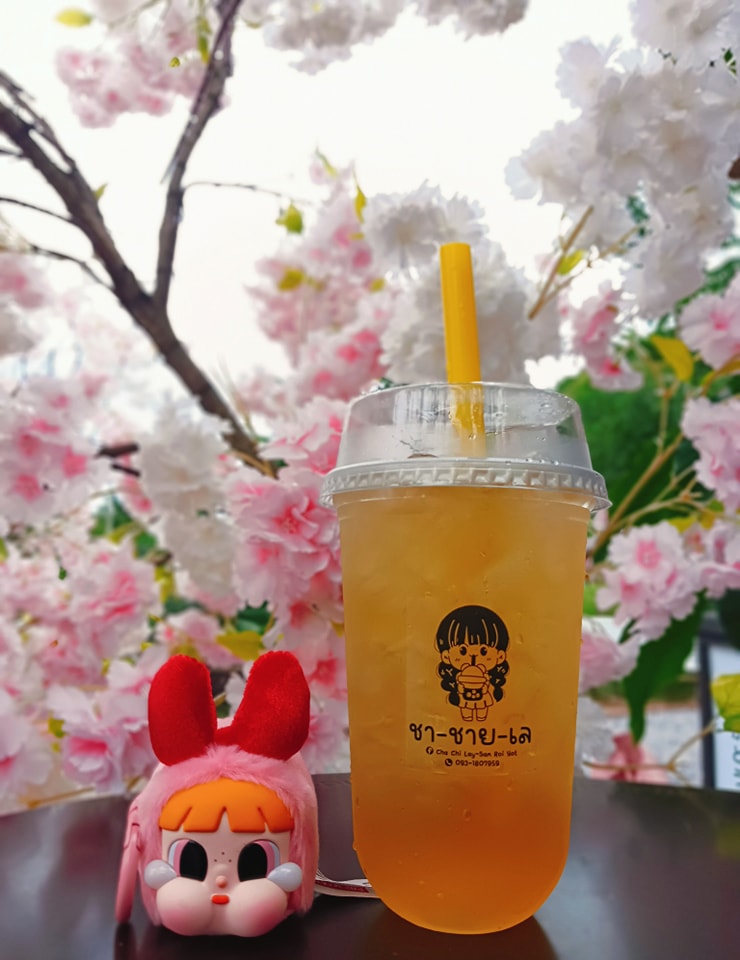 Cha Chi Lay สามร้อยยอด พื้นที่ชาชายเลที่ปล่อยเวลาไหล cha chi lay2