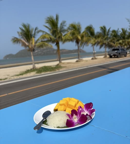 the beach club4