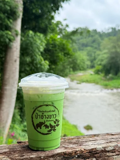 ร้านกาแฟวิสาหกิจชุมชนบ้านป่าหมาก พื้นที่กาแฟของคนในชุมชน กาแฟ1