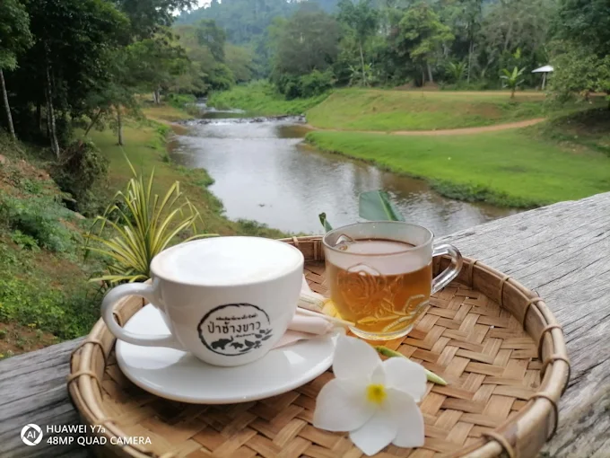 ร้านกาแฟวิสาหกิจชุมชนบ้านป่าหมาก พื้นที่กาแฟของคนในชุมชน กาแฟ3
