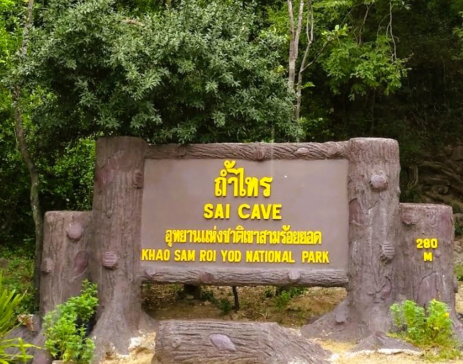 ถ้ำไทร6