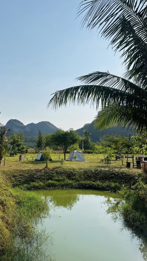 บ้านสวนกลางขุนเขาแคมป์ จุดกางเต้นท์ campping สามร้อยยอด( bann suan klang kun khao camp)3