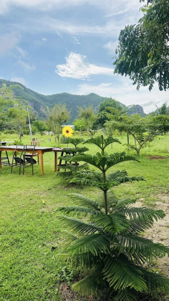 บ้านสวนกลางขุนเขาแคมป์ จุดกางเต้นท์ campping สามร้อยยอด( bann suan klang kun khao camp)4