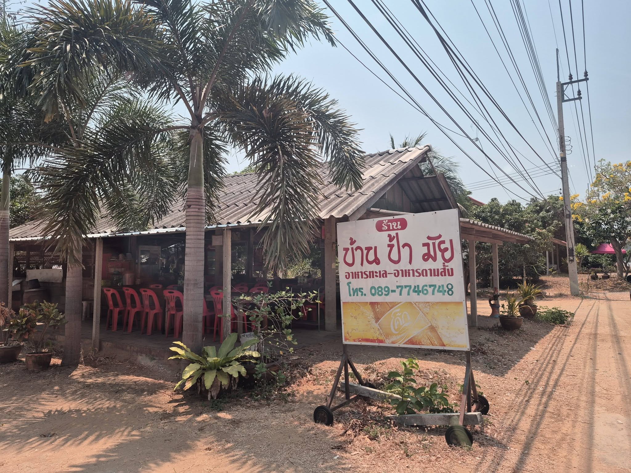 ร้านบ้านป้ามัย อาหารไทยบ้านๆ รสมือแม่ บรรยากาศอบอุ่น ร้านบ้านป้ามัย1